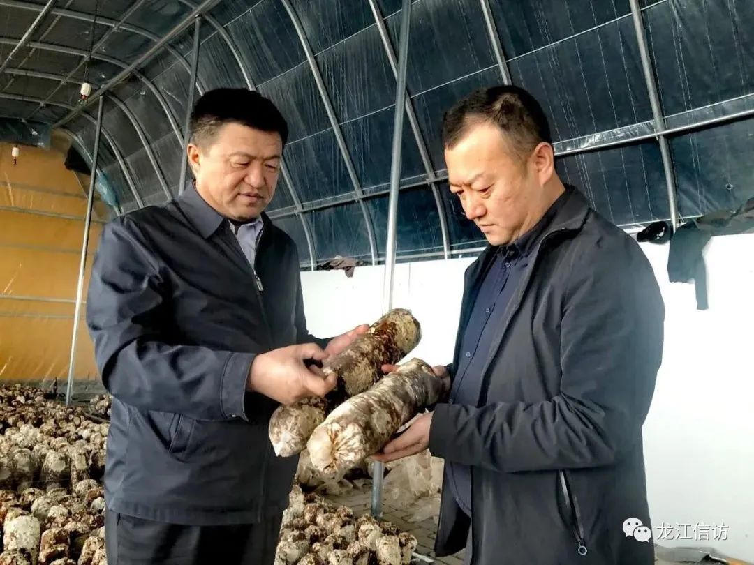 黑龙江明水县：菌菇产业撑起乡村振兴“致富伞”